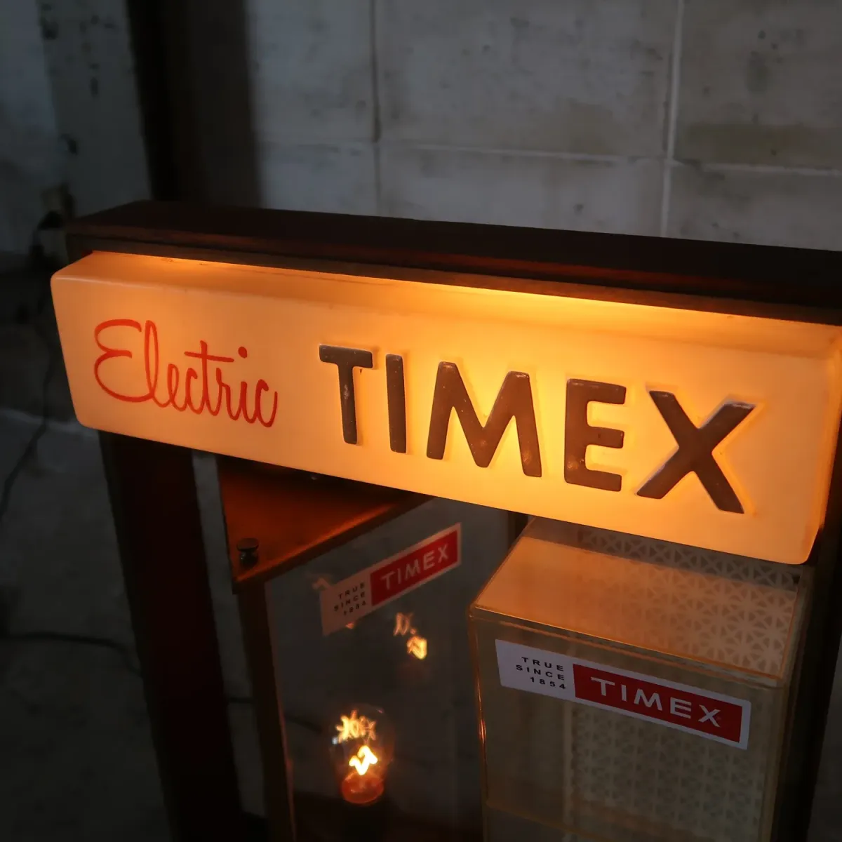 50's TIMEX モーション ショーケース